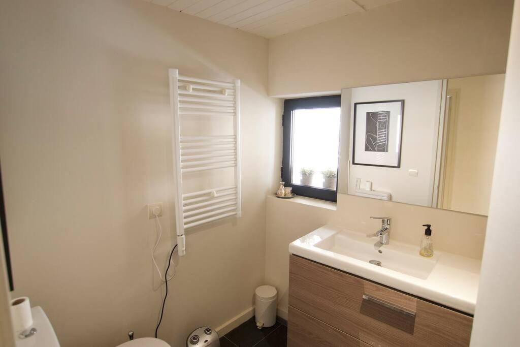 Apartament Central Amb Terrassa Alp Extérieur photo